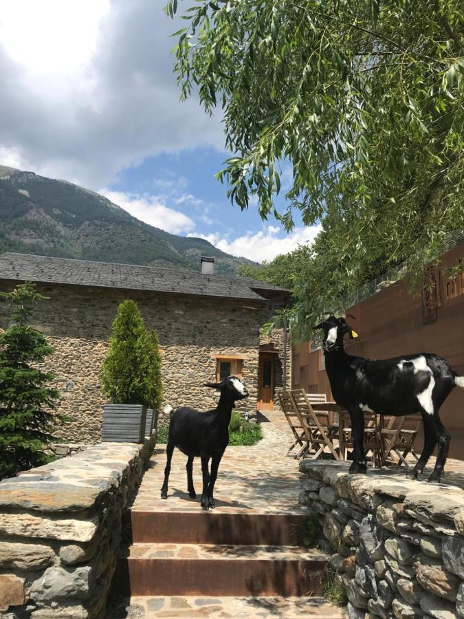 Cal Batlle Casa Rural La Cortinada Kültér fotó